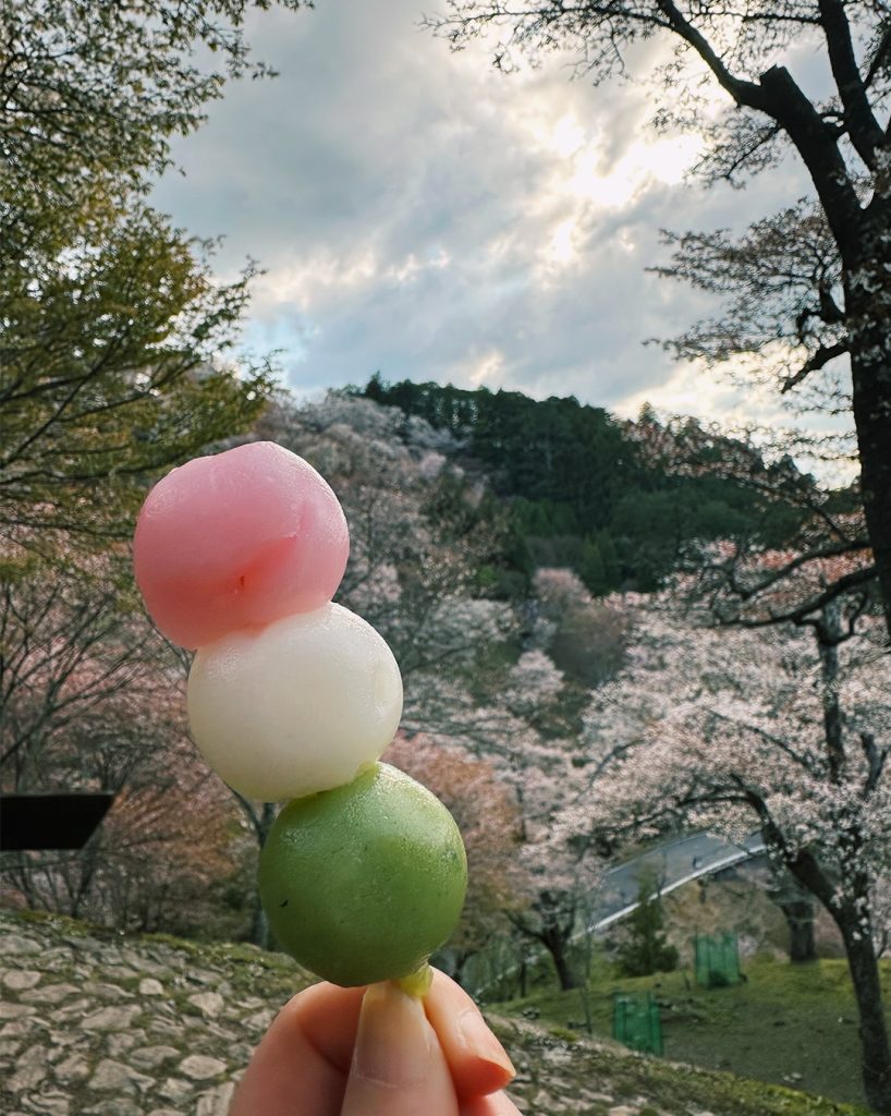 奈良の吉野でお花見